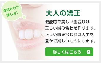 大人の矯正