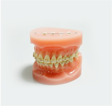 Point 1. 矯正専門クリニックとしての実績